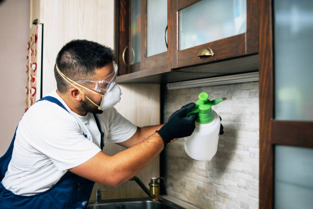 Best Pest Control Near Me  in Bethel Manor, VA