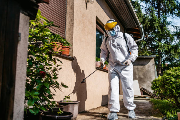 Best Pest Removal Services  in Bethel Manor, VA