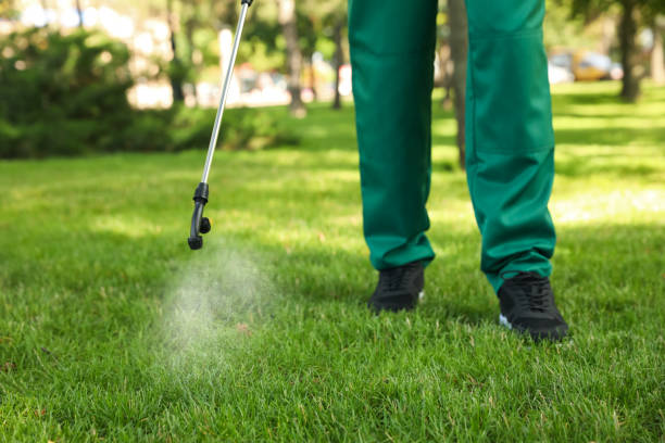 Best Affordable Pest Control Services  in Bethel Manor, VA