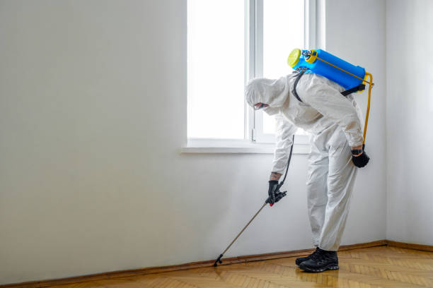 Best Rat Extermination Near Me  in Bethel Manor, VA