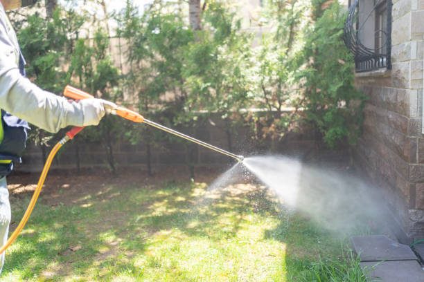 Bethel Manor, VA Pest Control Company